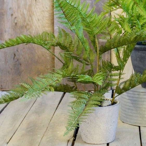 Faux Fern Plant In Pot